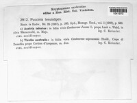 Image Associated With the Occurence